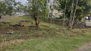Image 12 - 195783