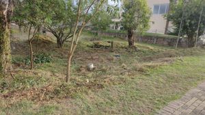 Image 11 - 195783