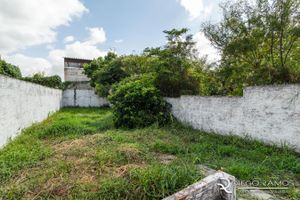 Image 22 - 196701