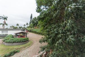 Image 3 - 196815