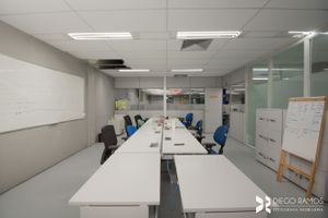 Image 9 - 196871