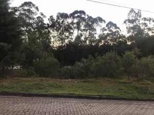 Image 51 - 198424