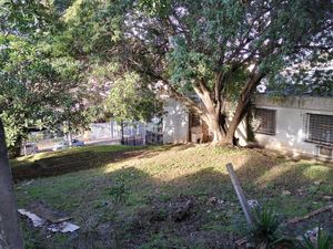 Image 9 - 198598