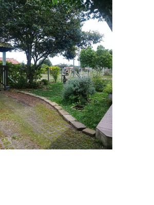 Image 6 - 198916