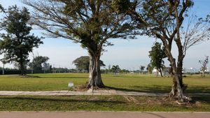 Image 0 - 199154