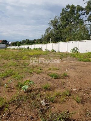 Image 29 - 199784