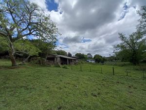 Image 4 - 199972