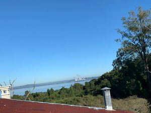 Image 8 - 200003