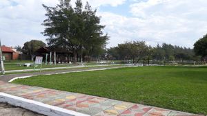 Image 13 - 200200