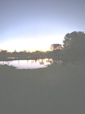 Image 23 - 200381