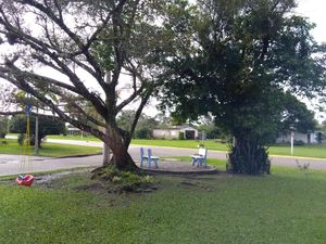 Image 55 - 201472