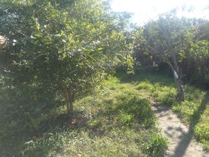 Image 4 - 201891