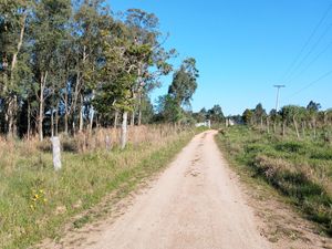 Image 33 - 202137