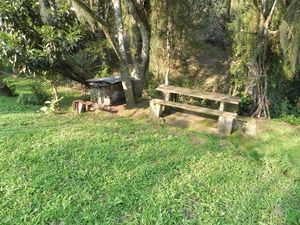 Image 25 - 202137