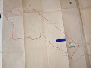Image 35 - 202137