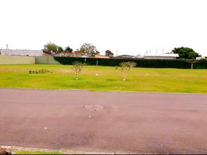 Image 3 - 202366