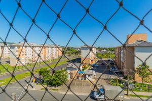 Image 6 - 202384