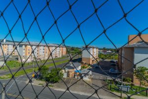 Image 9 - 202384