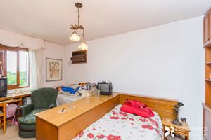 Image 17 - 202524