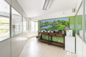 Image 17 - 202534