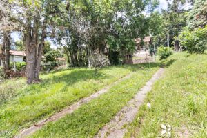 Image 31 - 202534