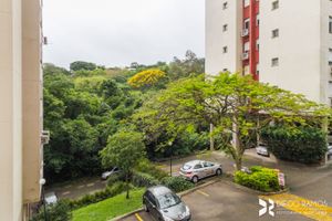 Image 9 - 202539