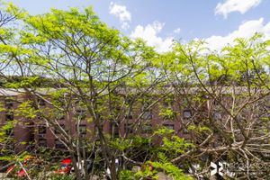 Image 4 - 202562