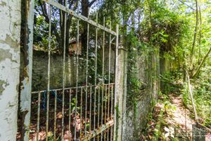 Image 17 - 202647
