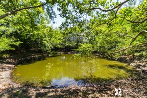 Image 33 - 202647