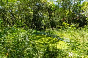 Image 34 - 202647