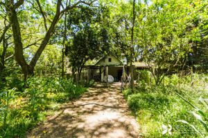Image 41 - 202647