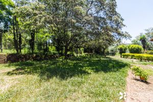 Image 61 - 202647