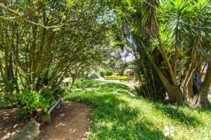 Image 4 - 202647