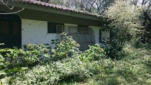 Image 70 - 202647