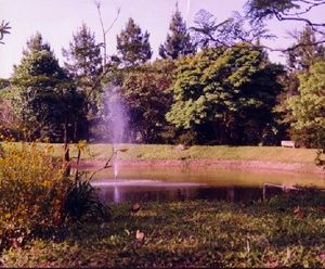 Image 72 - 202647