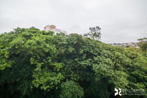 Image 6 - 202754