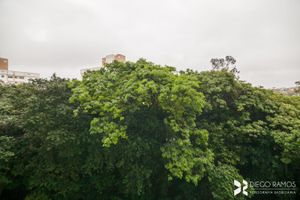 Image 11 - 202754