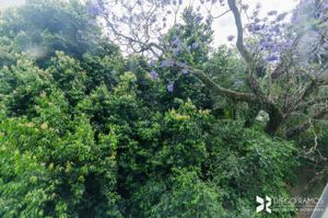Image 7 - 202853