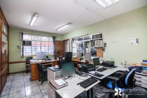 Image 16 - 203065