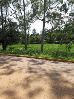 Image 4 - 203074