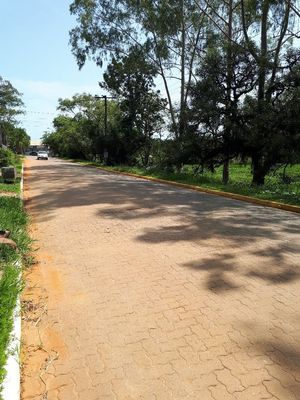 Image 5 - 203074