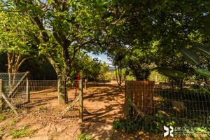 Image 62 - 203075