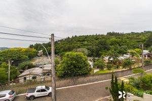 Image 11 - 203218