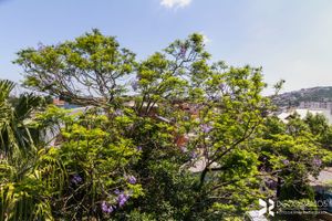 Image 7 - 203345