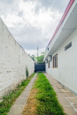 Image 31 - 203347