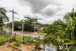 Image 4 - 203366