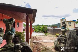 Image 38 - 203366
