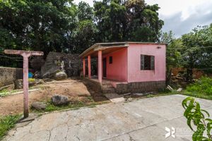 Image 27 - 203366