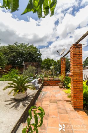 Image 42 - 203366