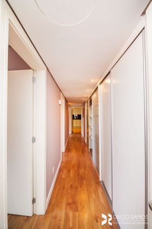 Image 30 - 203405